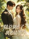 陆总别虐了,离婚请签字