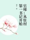 官梯:从驻村第一书记开始