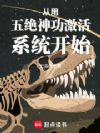 从用五绝神功激活系统开始